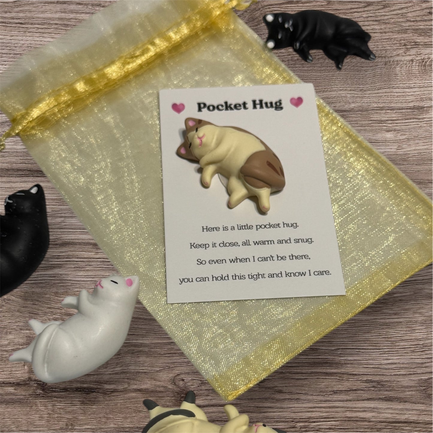 Cozy Cat Pocket Hug Friend